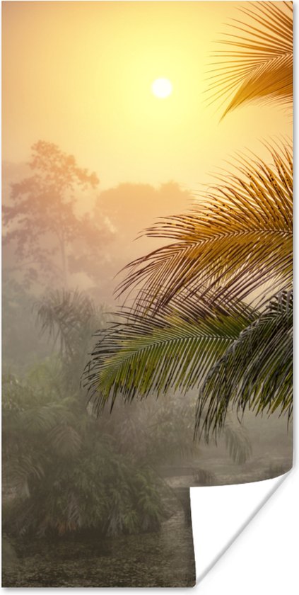 Poster Landschap met mist en palmbomen - 60x120 cm