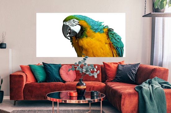 Affiche Perroquet - Vogel - Ressorts - Portrait - 150x75 cm
