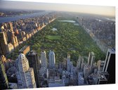 Central Park in New York omgeven door wolkenkrabbers - Foto op Dibond - 60 x 40 cm
