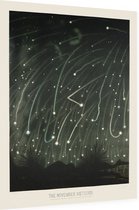 The November Meteors, Étienne Léopold Trouvelot - Foto op Dibond - 30 x 40 cm