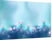 Bloemen in het blauwea licht - Foto op Dibond - 60 x 40 cm