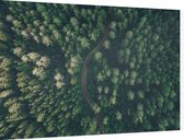 Droneshot van een bos - Foto op Dibond - 60 x 40 cm