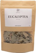 Eucalyptus - 100gr - Gedroogd - Fijne Kwaliteit - Geur Aroma - 100% Naturel - Thee - Kruidenbad