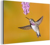Un colibri calliope sur fond jaune Aluminium 120x80 cm - Tirage photo sur aluminium (décoration murale métal)