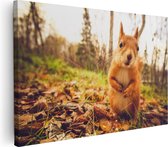 Artaza Canvas Schilderij Eekhoorn in het Bos tijdens de Herfst - 30x20 - Klein - Foto Op Canvas - Canvas Print