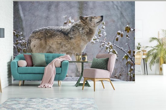 Papier peint - Papier peint photo Loup - Hiver - Neige - Largeur 360 cm x hauteur 240 cm
