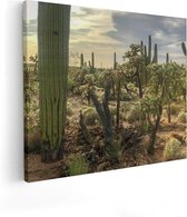 Artaza Canvas Schilderij Cactus Planten in het Wild - 100x80 - Groot - Foto Op Canvas - Canvas Print