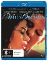 Wild Orchid (import)