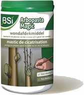 BSI Arbopasta magic 1kg: wondafdekmiddel voor planten en bomen