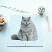 Hobbit Jaarkalender Katten-2022