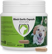 Excellent Black Garlic capsule - Bevordert het natuurlijk afweersysteem en ondersteunt de maagdarmfunctie - Geschikt voor honden - 90 Tabletten