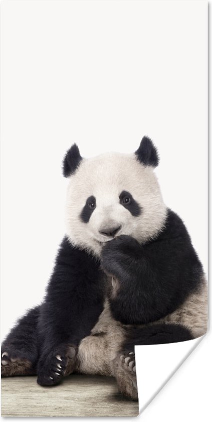 Poster kinderen - Panda - Dieren - Kinderen - Jongens - Meisjes - Pandabeer - Wanddecoratie kinderkamer - Kinder decoratie - 20x40 cm - Slaapkamer decoratie