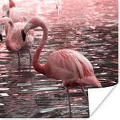 Poster Een groep flamingo's staat in het water - 75x75 cm