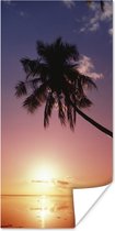 Poster Silhouet van palmbomen bij zonsondergang - 80x160 cm