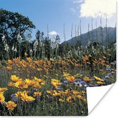 Poster Bloemen - Natuur - Kleur - 50x50 cm