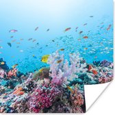 Poster Kleurrijk rif en koraal - 100x100 cm XXL