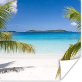 Poster Tropische palmen op het strand - 50x50 cm