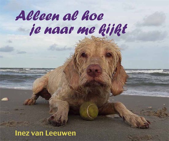 Alleen al hoe je naar me kijkt - cover
