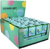 Buzzy Vergeet-me-niet Flower Gift - 48 stuks - leuk om uit te delen - bloempotje + zakje zaden + potgrondtabletje