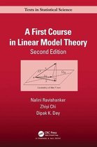 A First Course in Linear Model Theory