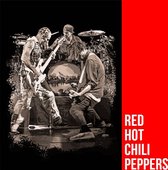 Allernieuwste Canvas Schilderij Red Hot Chili Peppers Tribute - Popsterren Bands Poprock - Kleur - 50 x 70 cm