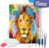 Pcasso® Leeuw gekleurd - Diamond Painting - Incl. 4 Opzetstukjes En XXL Bakje - Diamond Painting Kinderen - Diamond Painting Dieren - Diamond painting volwassenen - 30x40 CM