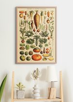 Poster In Houten Lijst - Vintage Groenten - Educatief - Planten - Botanisch - 70x50 cm