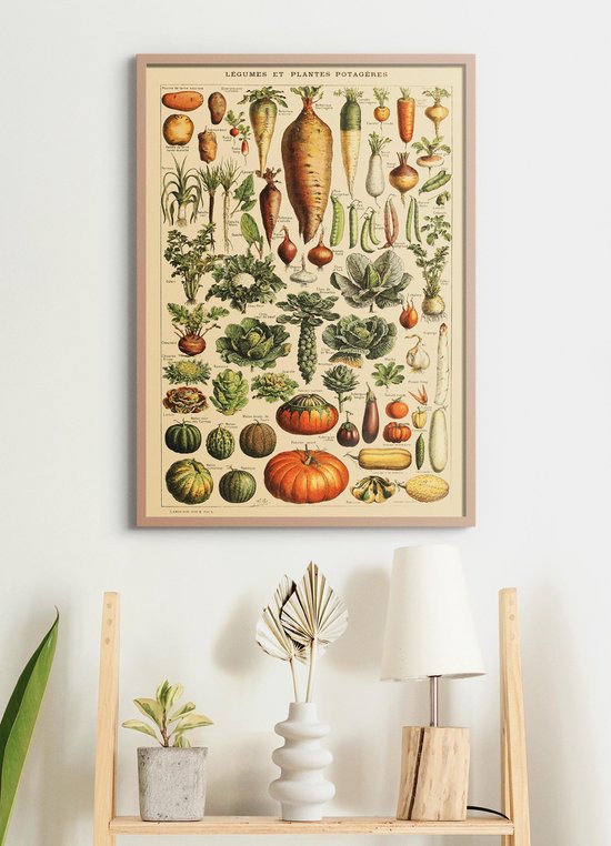 Poster In Houten Lijst - Vintage Groenten - Educatief - Planten - Botanisch  - 70x50 cm | bol.com