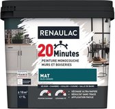 RENAULAC 1-laags interieurverf 20 minuten muren en houtwerk - 1L - 10 m² - Mat eendenblauw