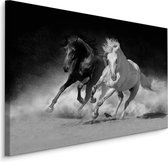 Schilderij - Galopperende paarden in zwart-wit, 4 maten, wanddecoratie