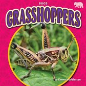 Bugs- Grasshoppers
