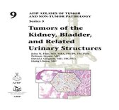 AFIP Atlases of Tumor and Non-tumor Pathology, Series 5- Tumors of the Kidney, Bladder, and Related Urinary Structures