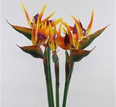 Kunst Paradijsvogelbloemen – Set van 2 – Oranje
