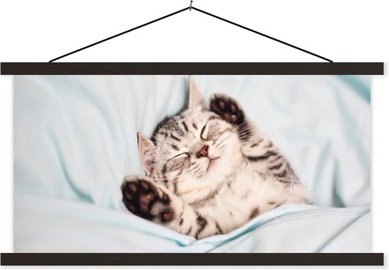 Porte-affiche avec affiche - Affiche scolaire - Chaton - Lit - Pieds - Filles - Enfants - Garçons - Enfant - 120x60 cm - Lattes noires