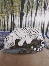 Tijger beeldjes witte tijger die aan het drinken is van H.Originals  15x31x17 cm