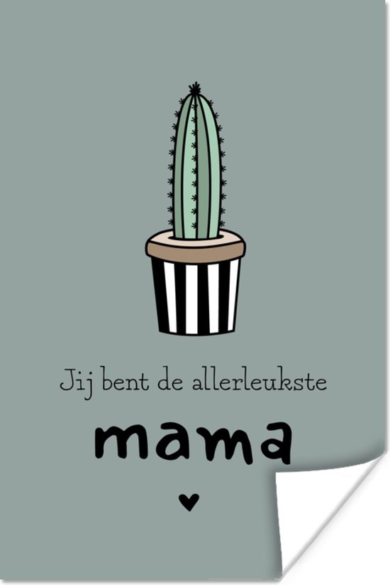 Moederdag geschenk met tekst – Jij bent de allerleukste mama - grijze achtergrond poster poster 80x120 cm