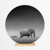 RVS fotocirkel Olifant en zebra  ⌀ 25