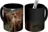 Magische Mok - Foto op Warmte Mokken - Koffiemok - Schotse hooglander - Koeien - Kleuren - Magic Mok - Beker - 350 ML - Theemok