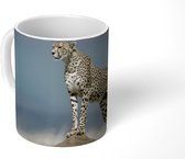 Mok - Luipaard - Stenen - Wolken - 350 ML - Beker