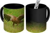 Magische Mok - Foto op Warmte Mok - Schreeuwarend vliegt weg uit een veldje - 350 ML