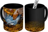 Magische Mok - Foto op Warmte Mok - Een boomklever badend in het water - 350 ML