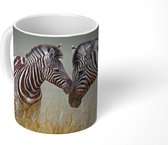 Mok - Moeder zebra en haar jong - 350 ML - Beker