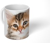 Mok - Koffiemok - Kitten - Wit - Neus - Meisjes - Kinderen - Jongens - Kids - Mokken - 350 ML - Beker - Koffiemokken - Theemok