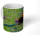 Mok - Pauw - Vliegen - Bos - Blauw - 350 ML - Beker
