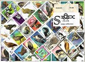 Postzegelpakket - 50 verschillende postzegels met Adelaars