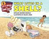 What Lives in a Shell?