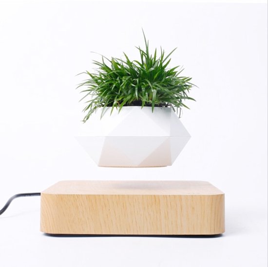 Zwevend plantenpotje - Licht hout - Magnetisch - Planten - Kamerdecoratie