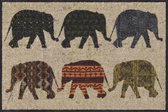 anti allergische deurmat, AFRIKA beige