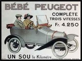 metalen wandbord Peugeot bebe / bébé 20x30 cm