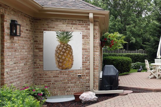 Serviette de jardin Ananas - Fruit - Wit - 100x100 cm